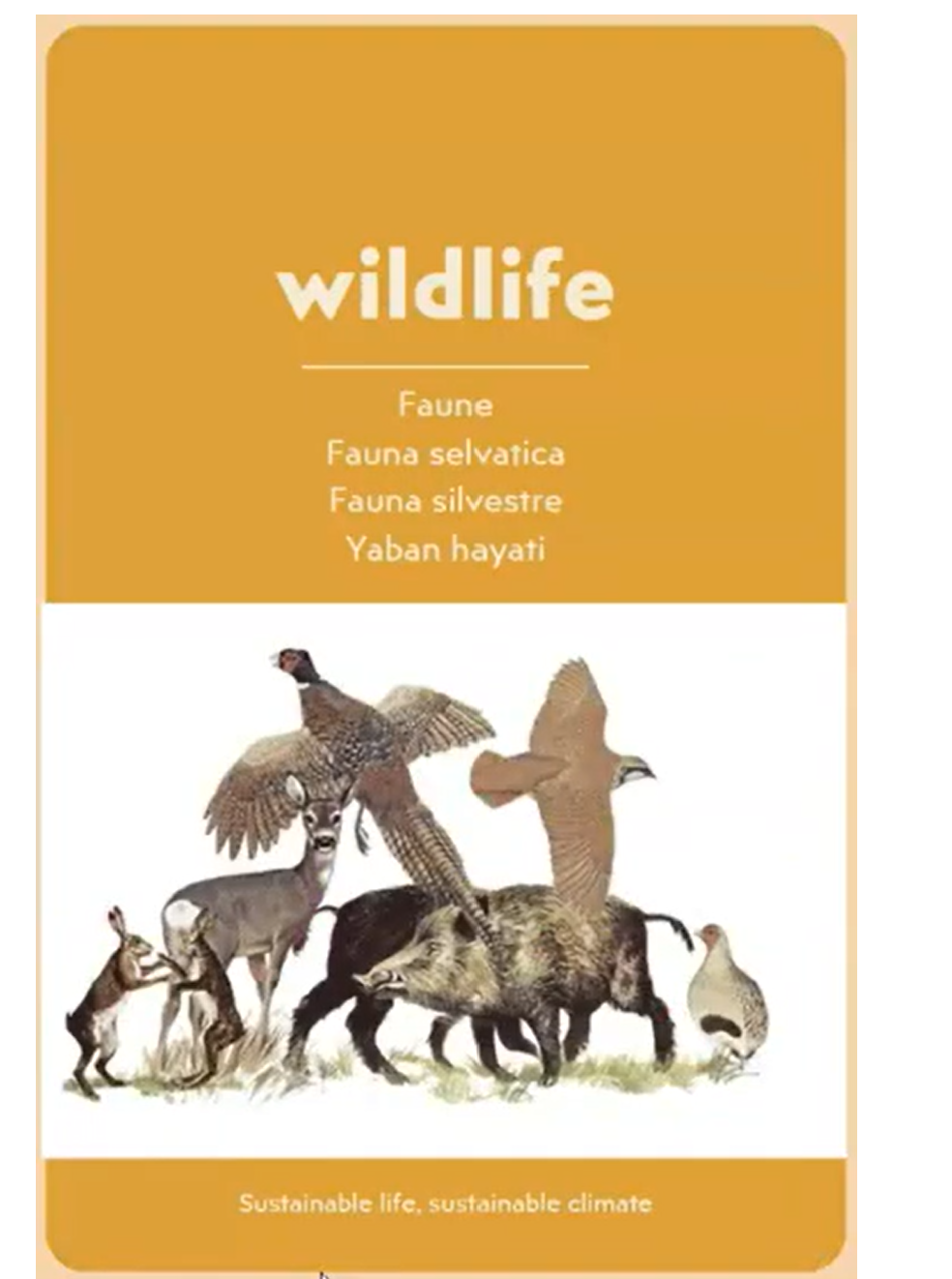 Environmental literacy dictionary